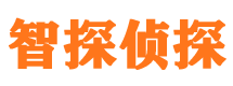 新抚侦探公司